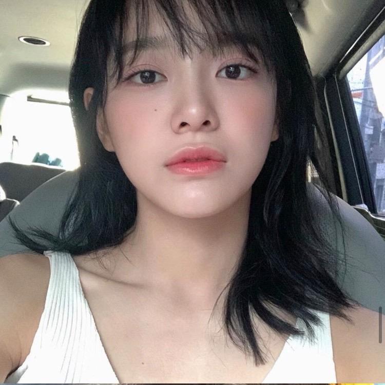 四季与狗