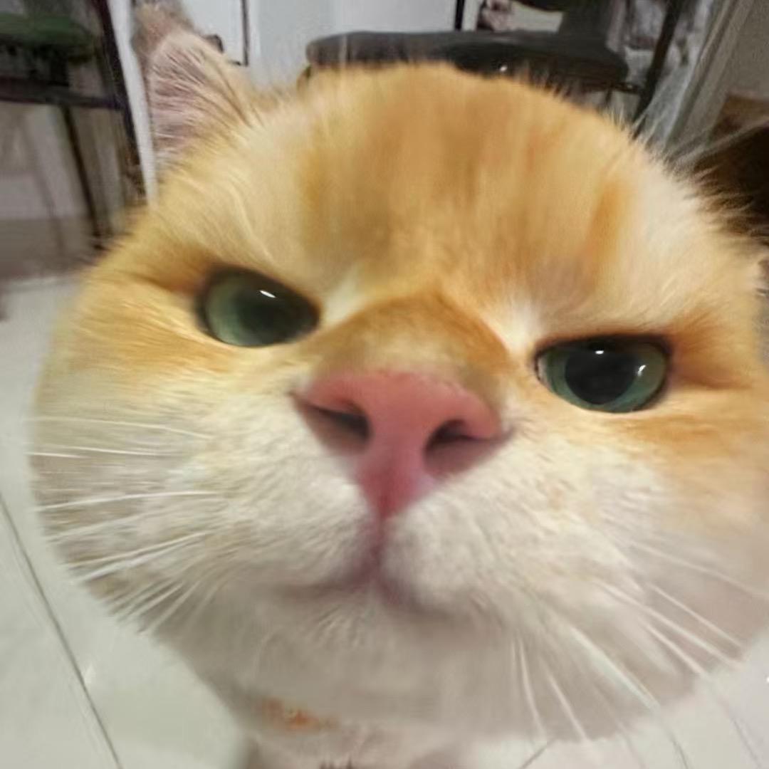 我想要艾斯兔
