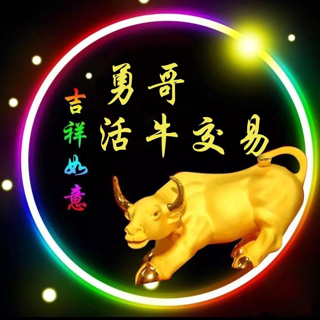勇哥活牛交易