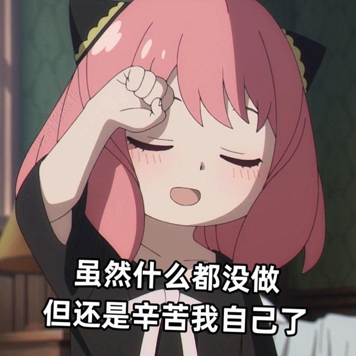 给趣多多点巧克力豆🫘