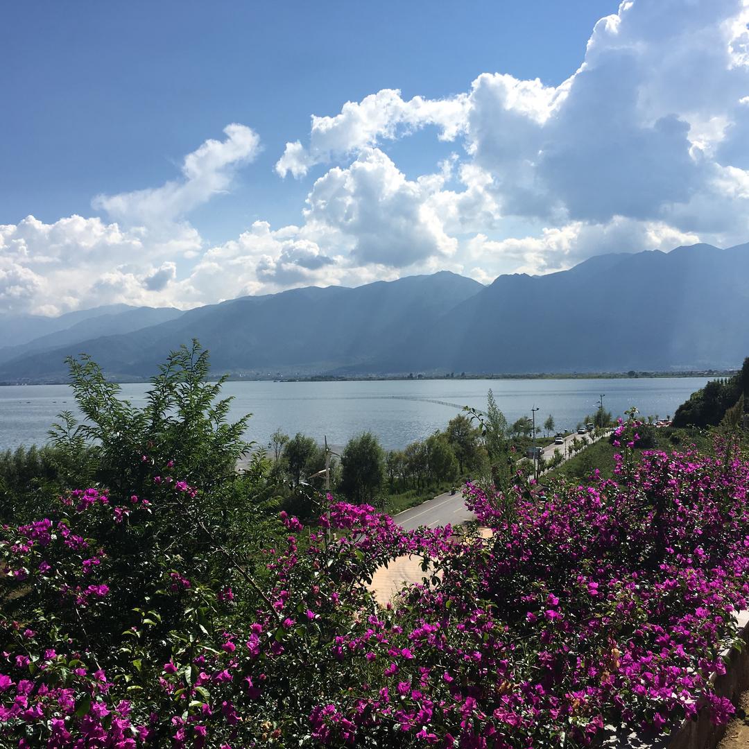 韩han