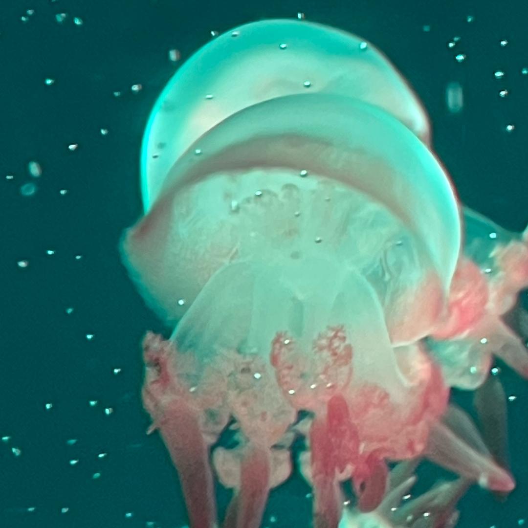 ㅤ ㅤ灲袧漾ξω男人