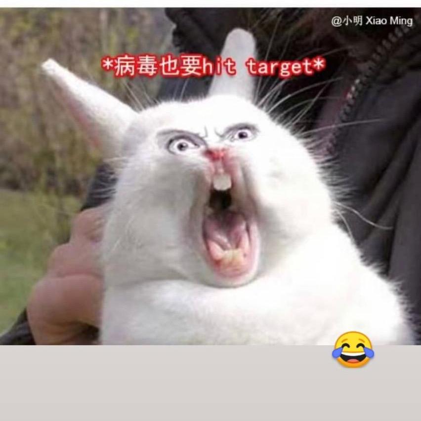 “城”隍庙