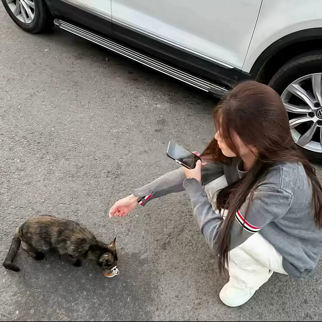 西宝🍉