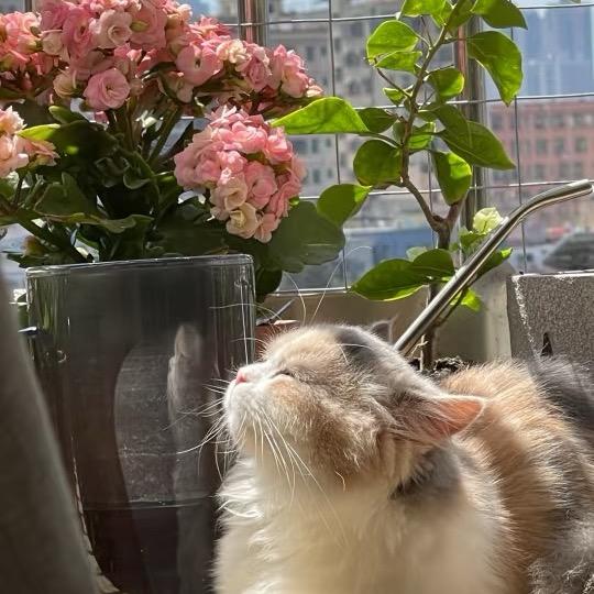 等我赚够一个小目标就退休