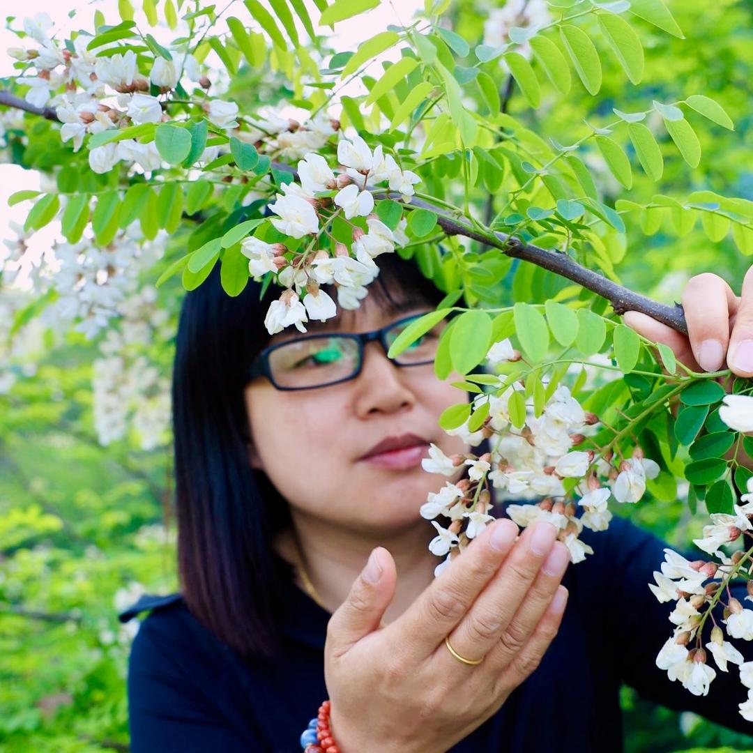 花言草语（英子）