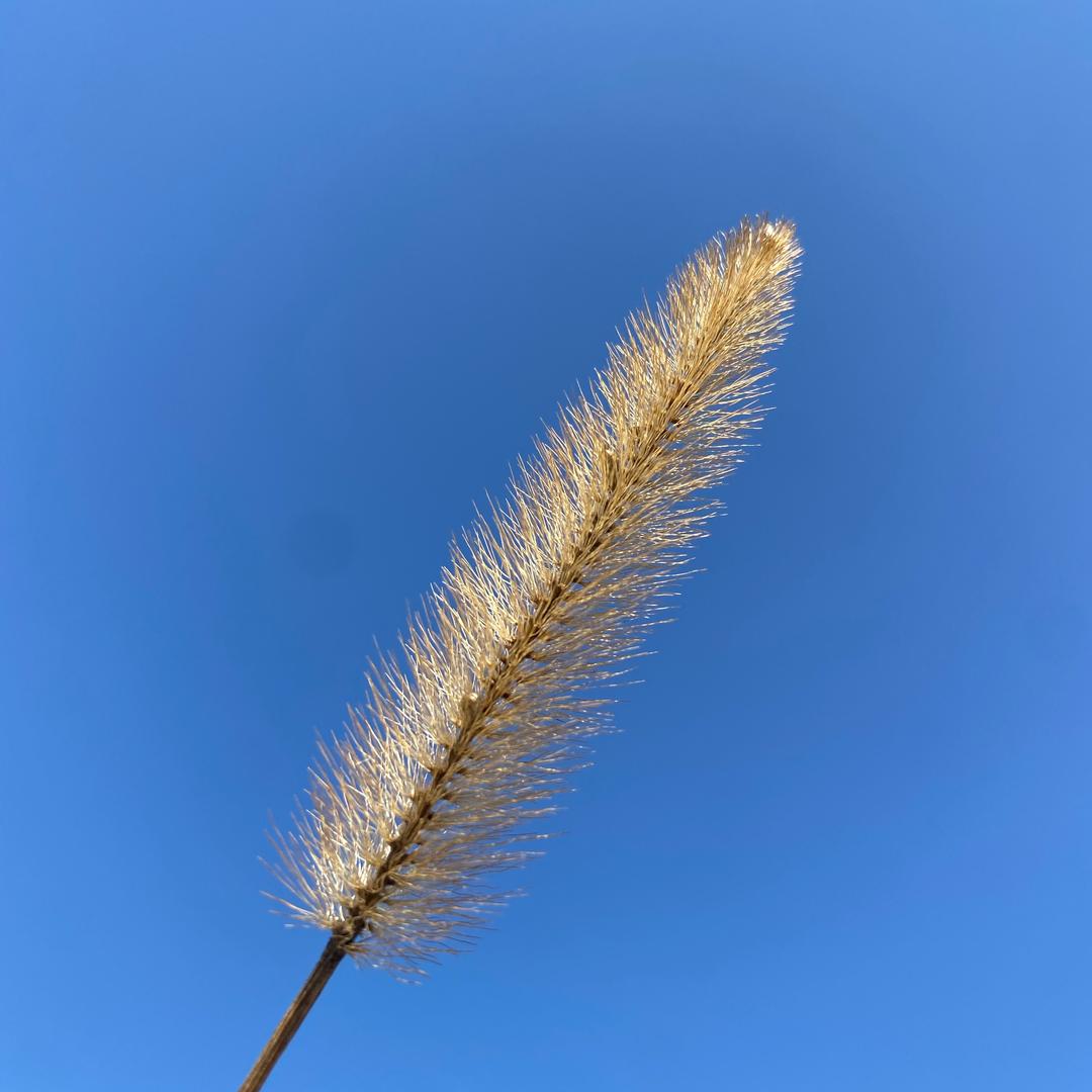 狂徒小三