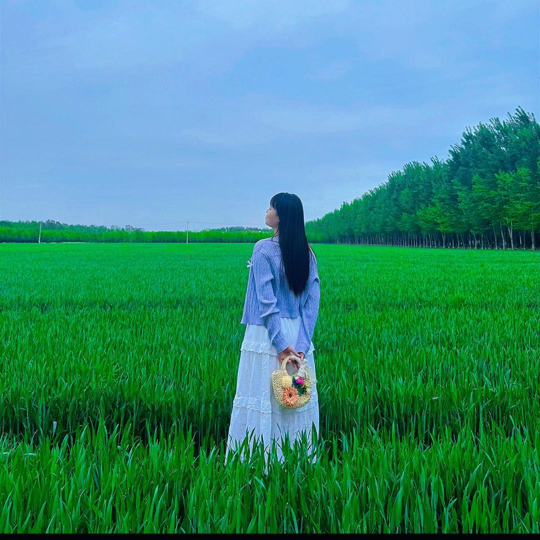 不吃香菜～