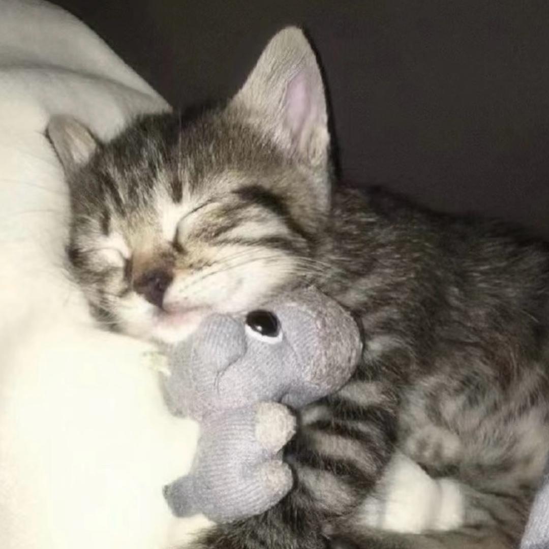 辣条还我少女音