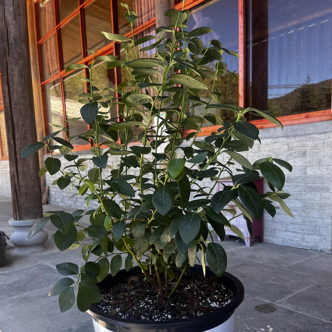 云南仟佰汇农业综合开发有限公司园艺资材