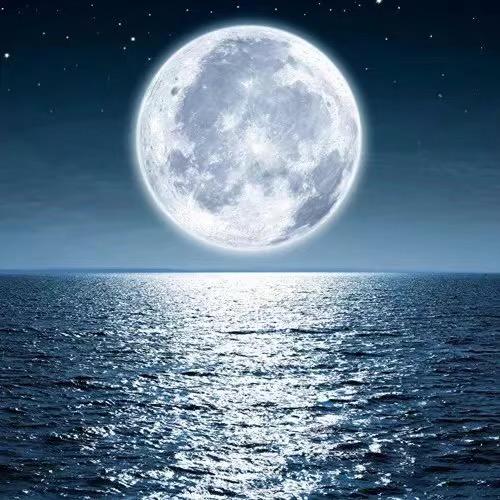 想去健身很久了🌙