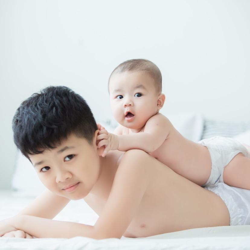 四只熊（痞迅）