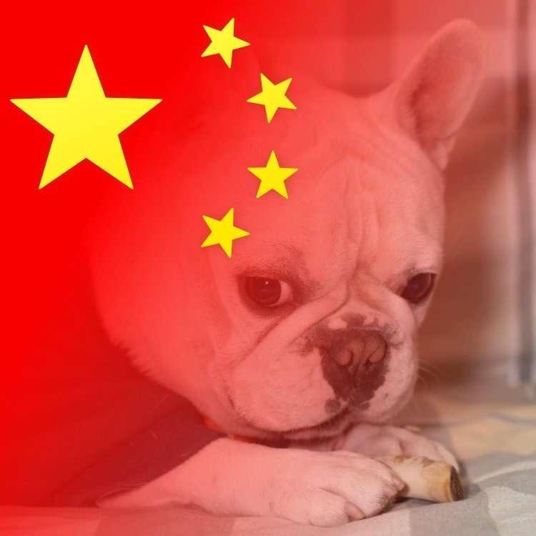 孙姐私房馄饨