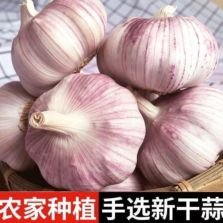 霭青青助农
