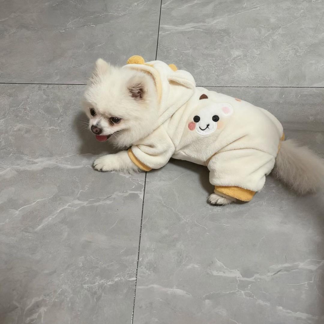 💞️ 飞龙🇨🇳战天💞️