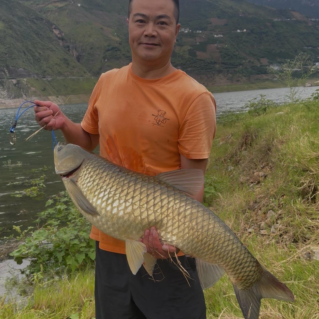 钓鱼🐠达人五哥🏅