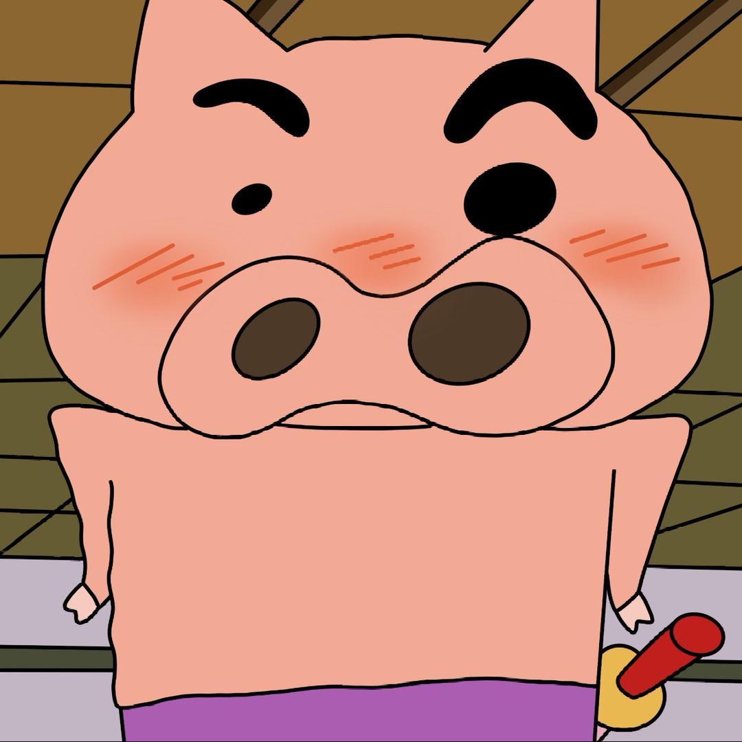 炫光猪蹄