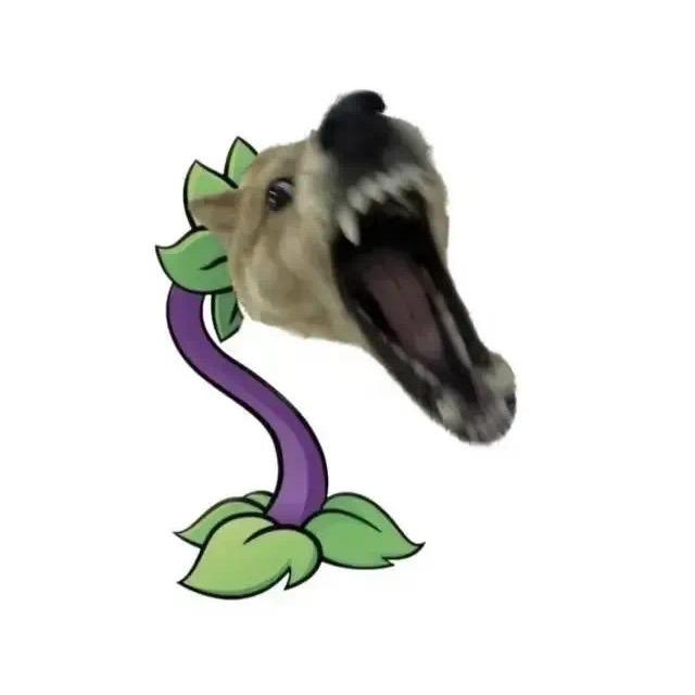 奥润芝