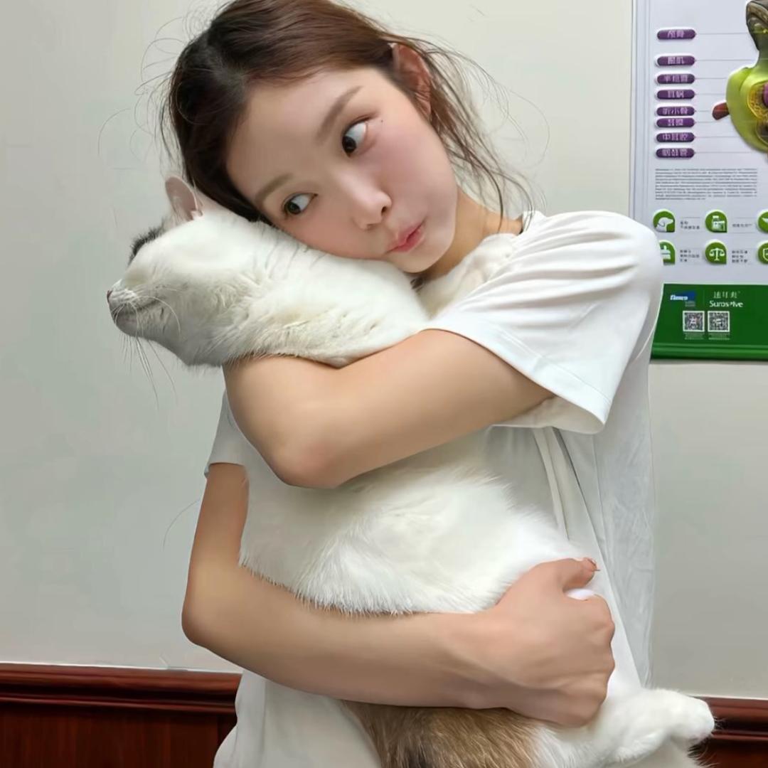 小岛