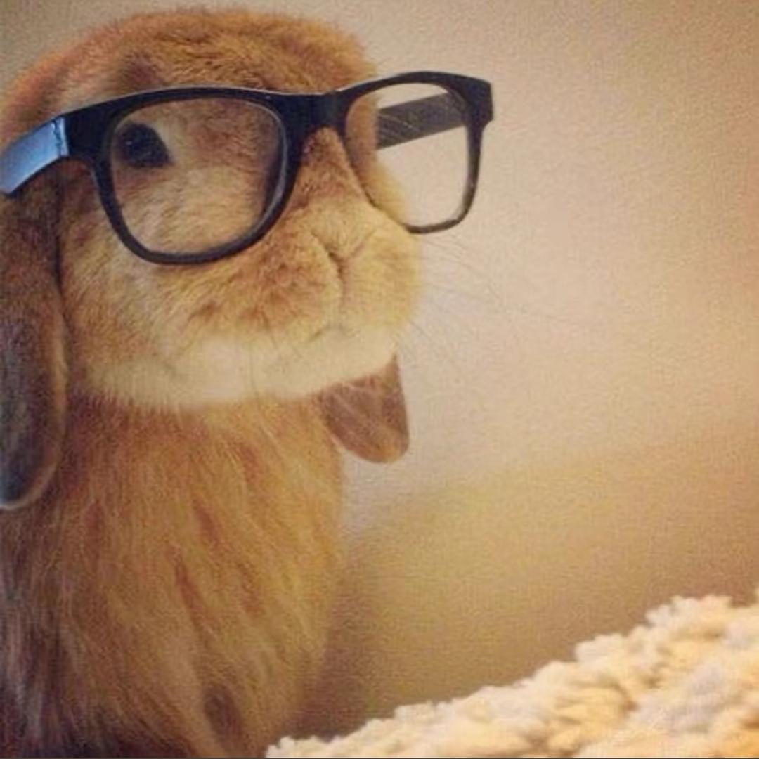 HoneyBunny