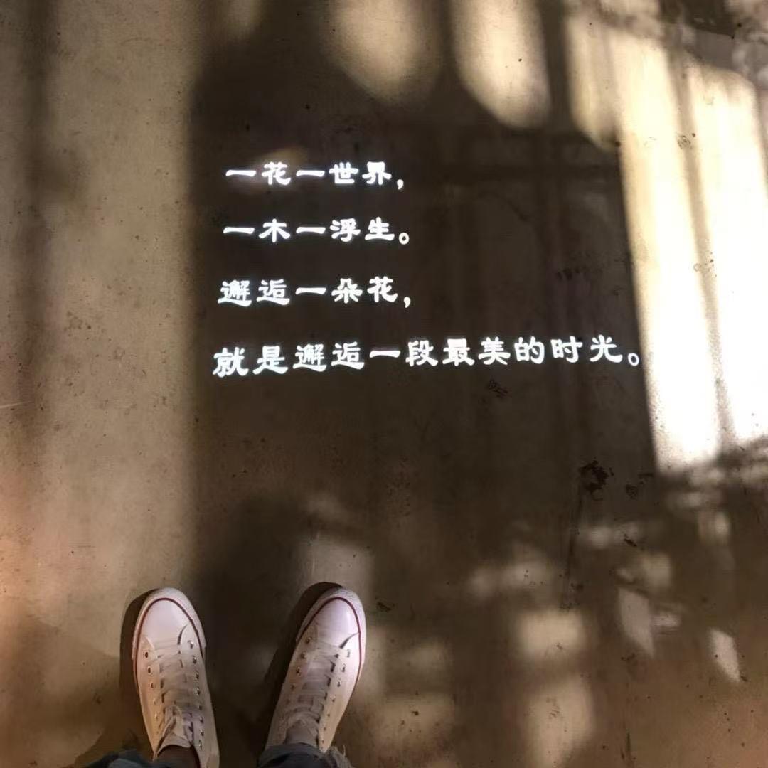 AAA小杜