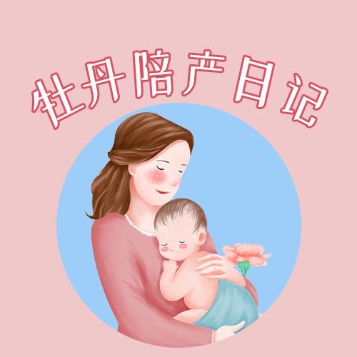 牡丹陪产指南