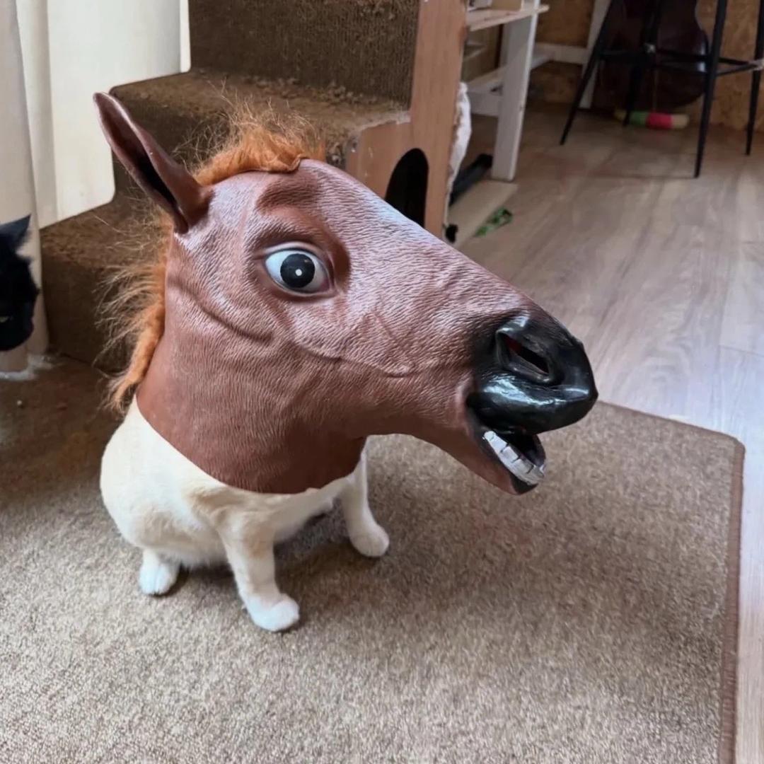 企鹅