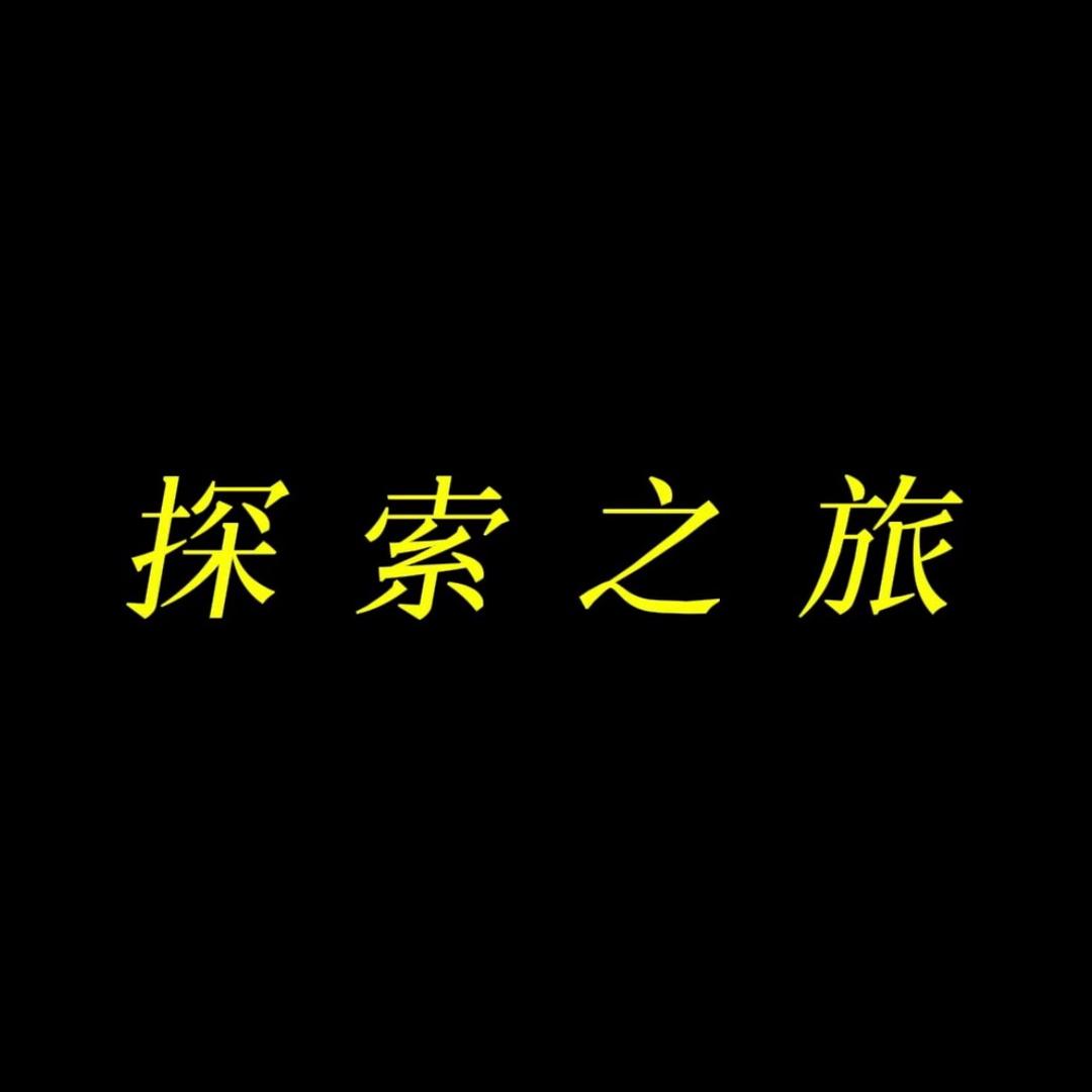 动物探索之旅