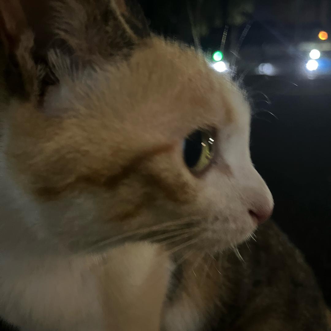 小渔🐟