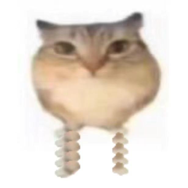 秋刀魚