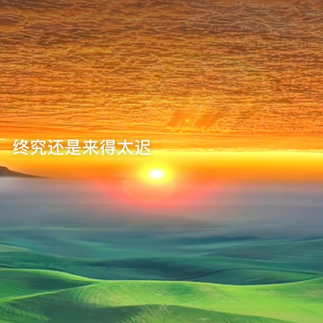 淡定 哥