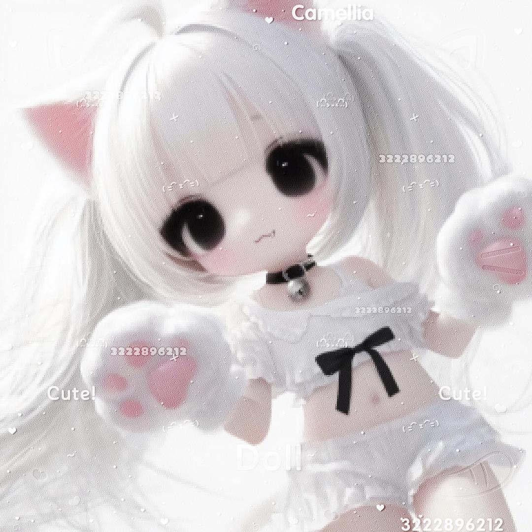 猫猫教主