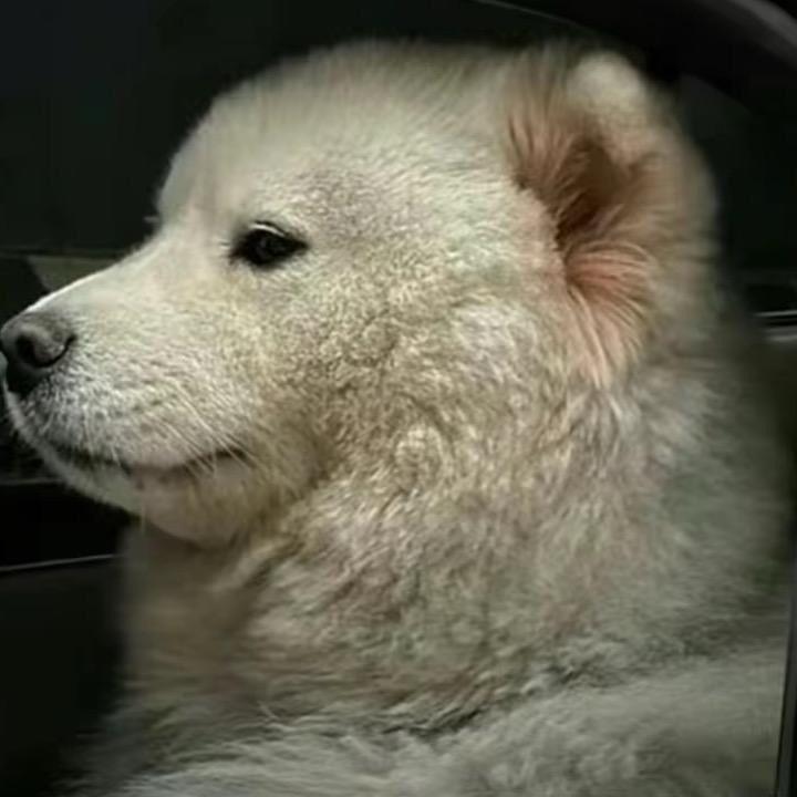 曹履虫虫虫虫