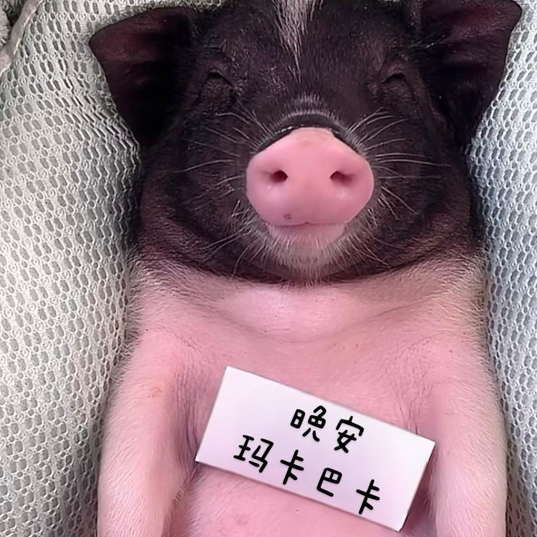 油管独行侠