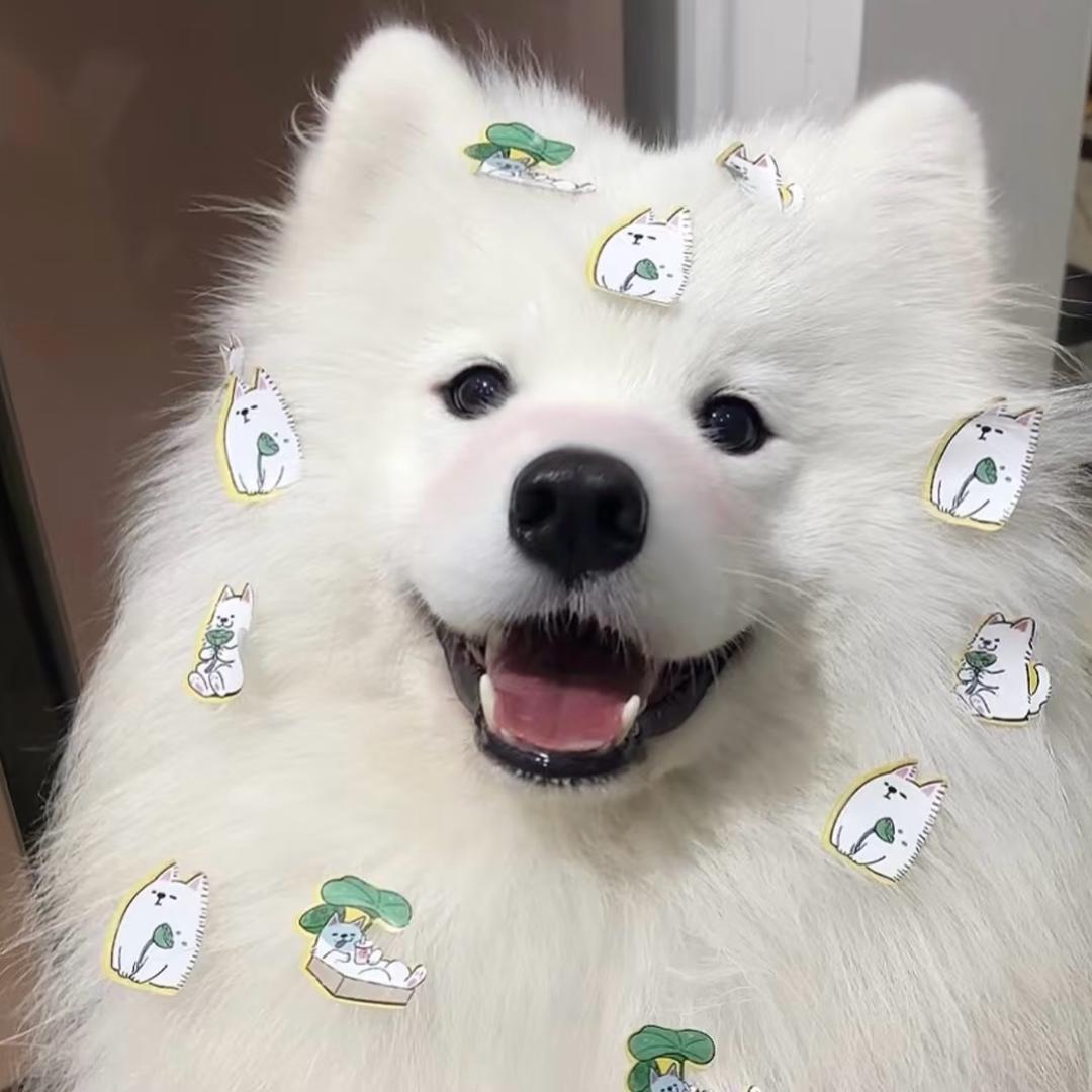 小薇、