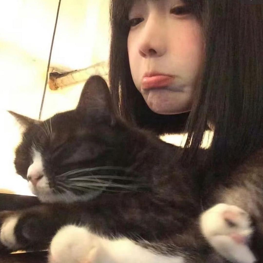 💤