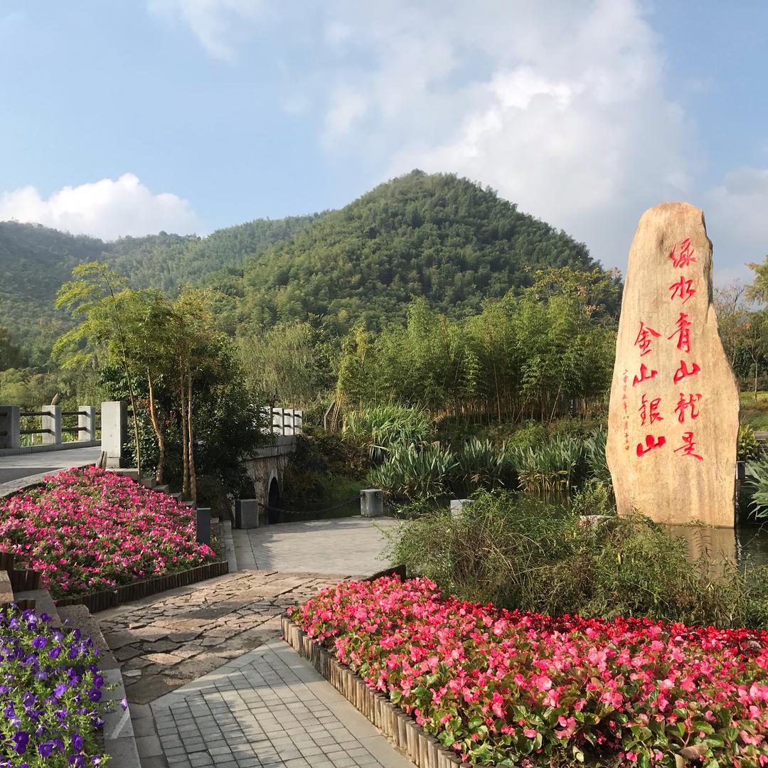 青松翠柏