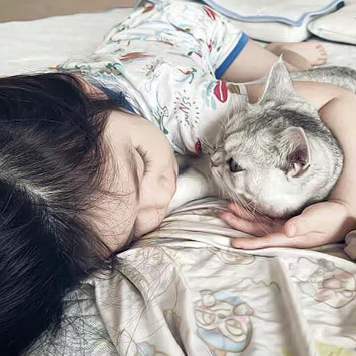 睡眠羊💤