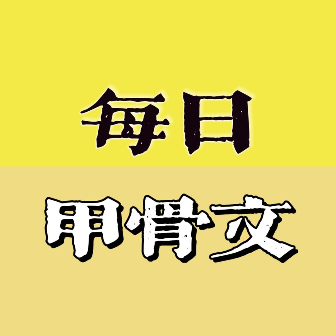 每日曱古文