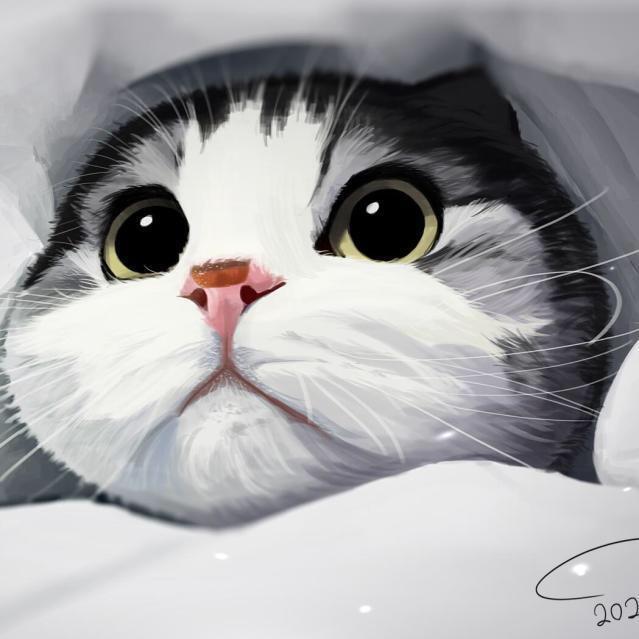 。°Oo○。ºο〇゜。оО°。。°Oo○