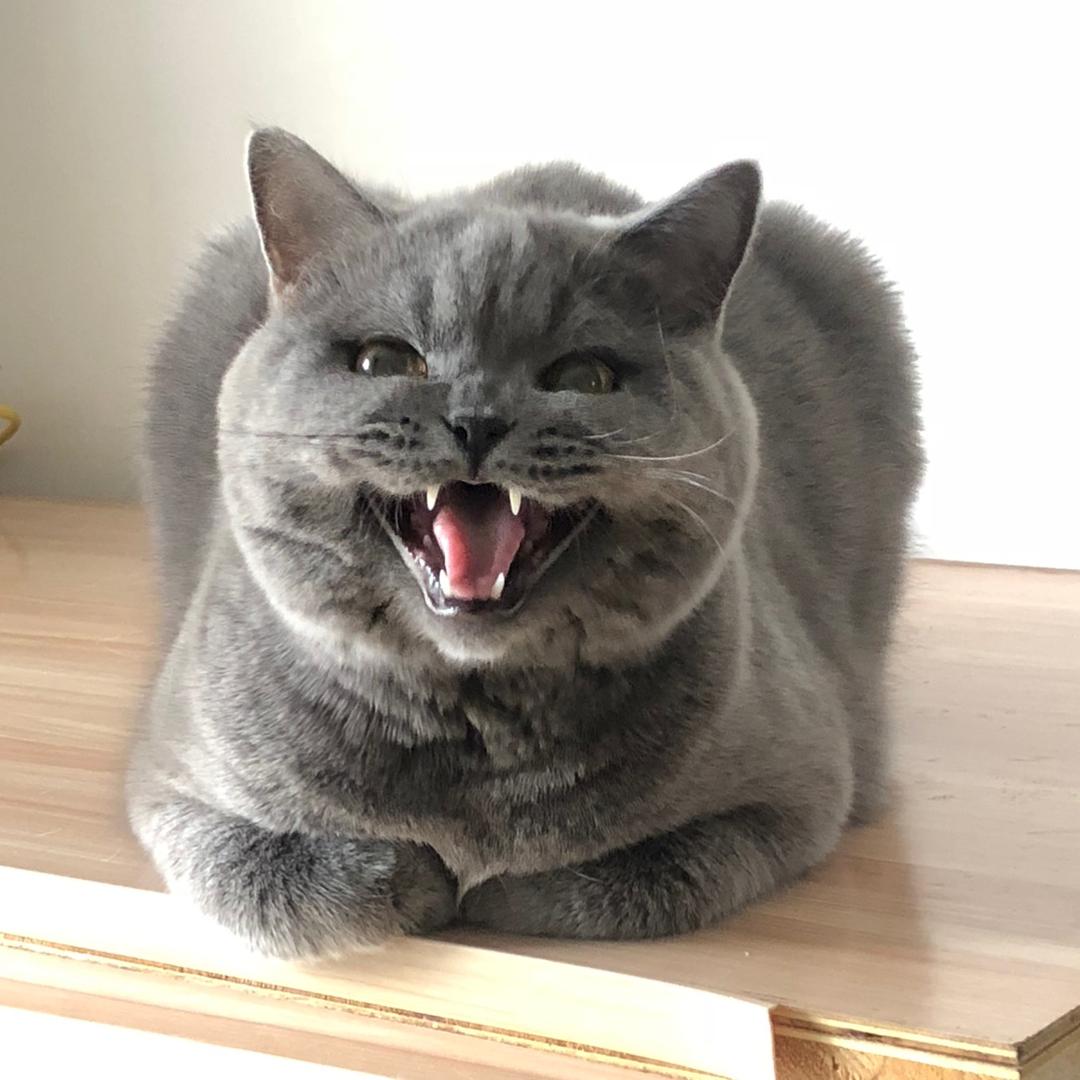 财神爷座下小童子