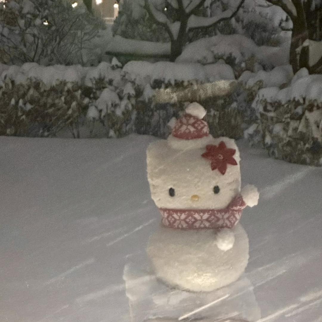 小猫降临