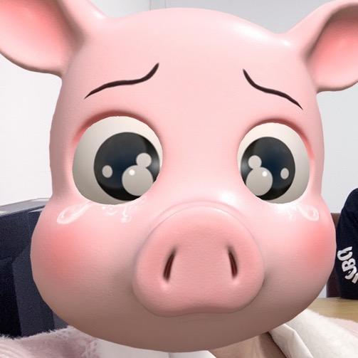 小城万家猪猪侠