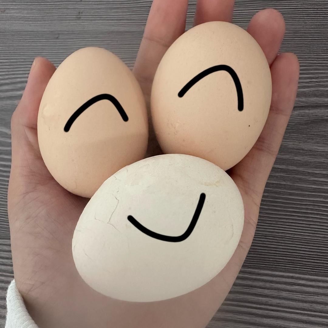 姜姜子