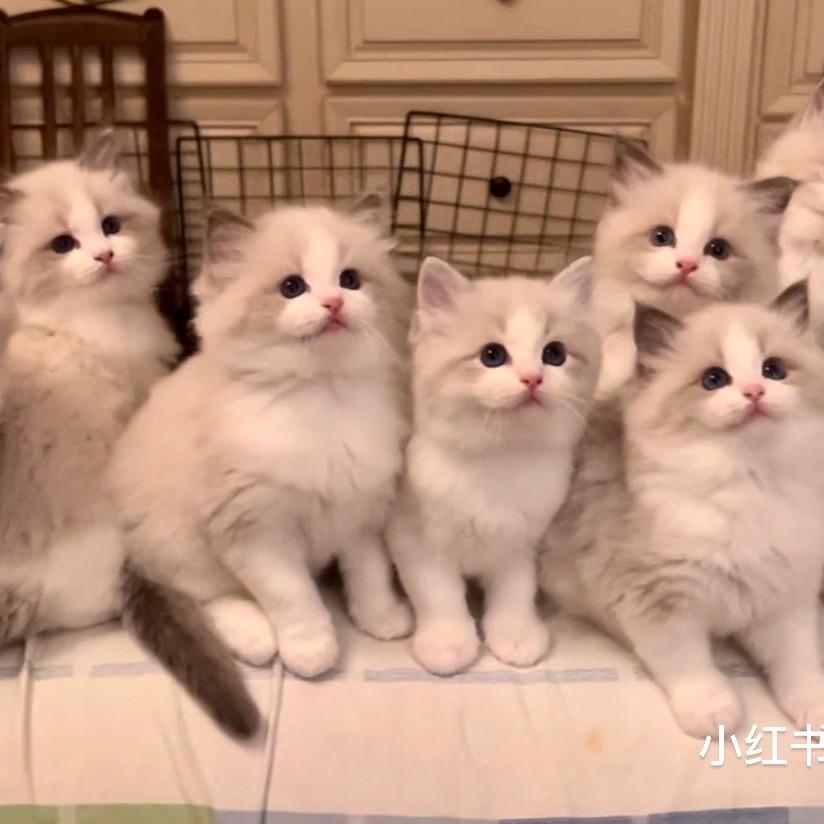 马马~