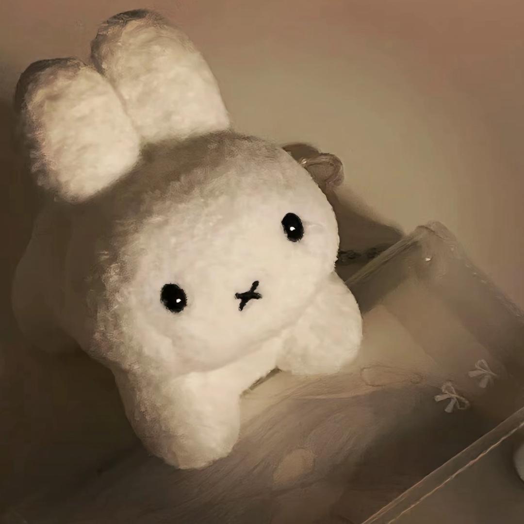 洲yy