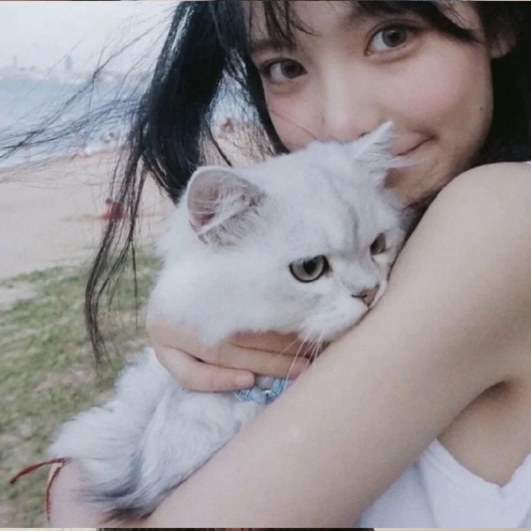 英英英子