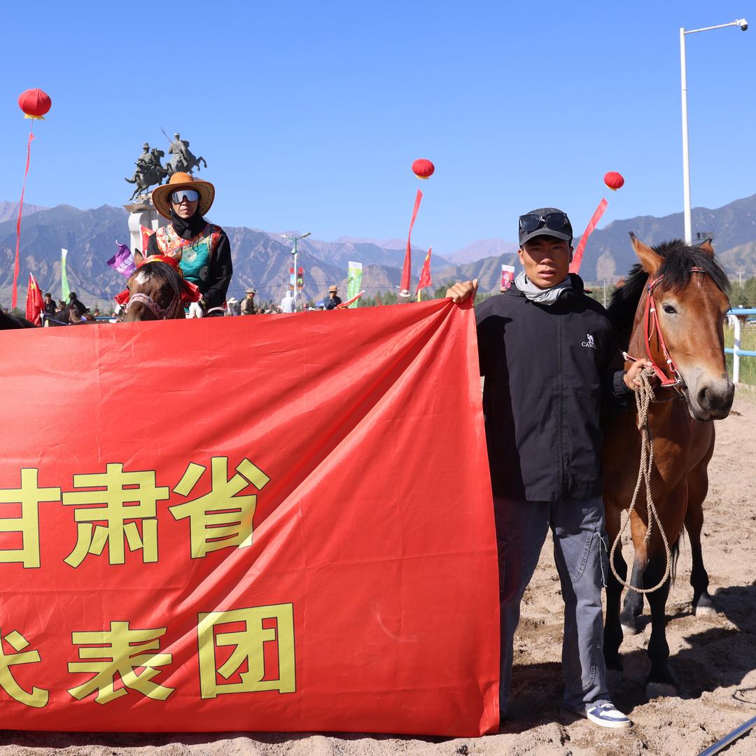 甘肃小马