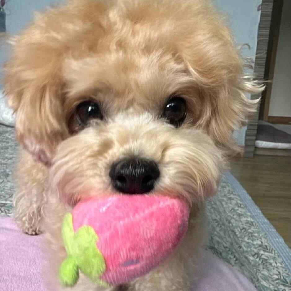 什么乱七八糟的