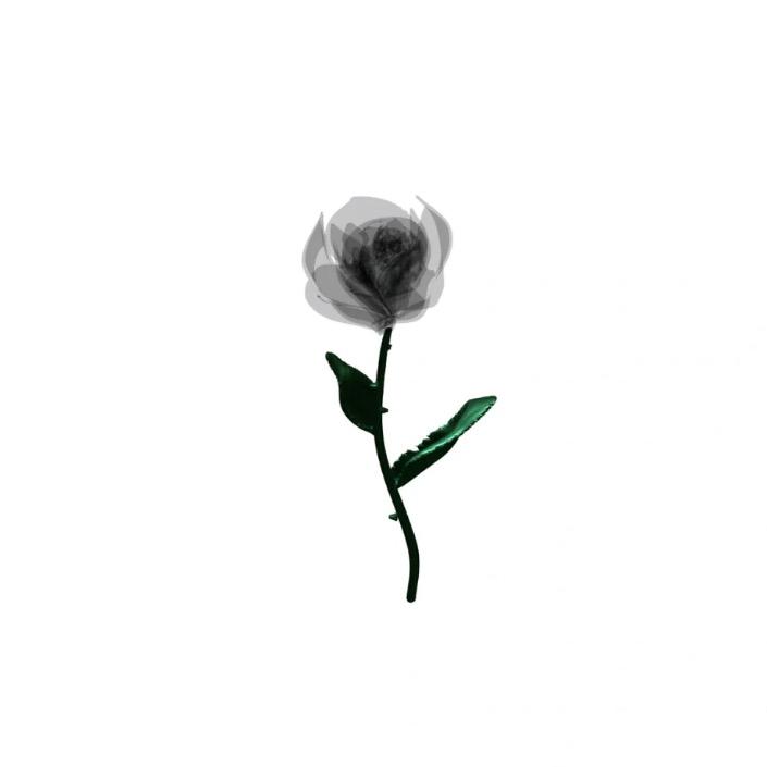 小高